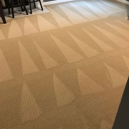 Jacksonville Dry Carpet Cleaning